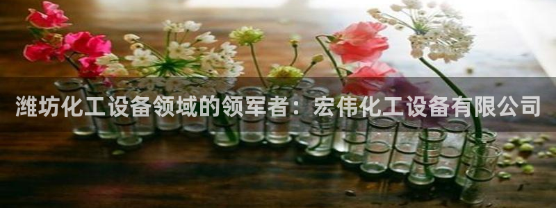 新城平台是干嘛的公司有哪些