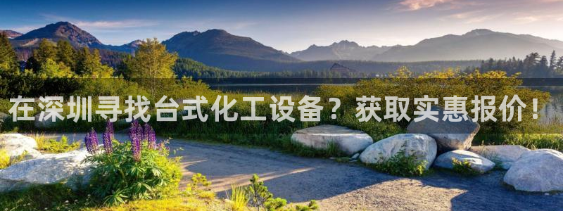 新城平台注册登录地址在哪
