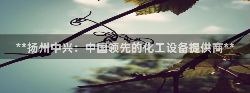 新城平台线路登录不上去怎么回事