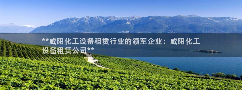 新城平台登录密码忘了怎么找回