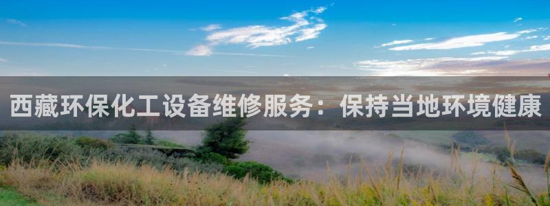 新城平台公司是国企吗