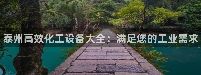 新城平台登录入口官网查询网址