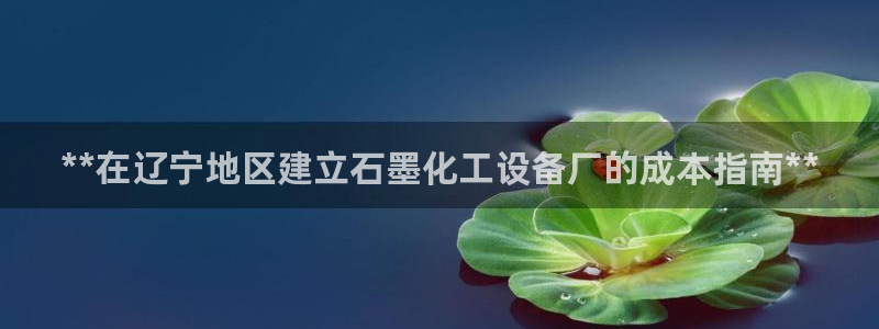 新城平台负责人名单