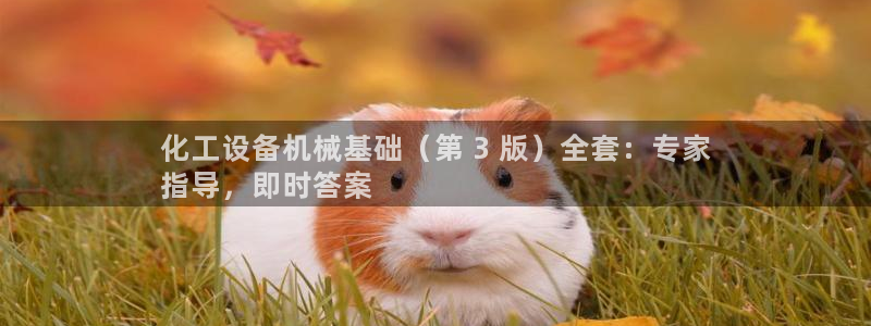 新城平台平台最新活动有哪些