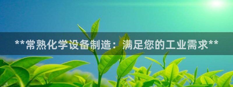 新城平台线路登录