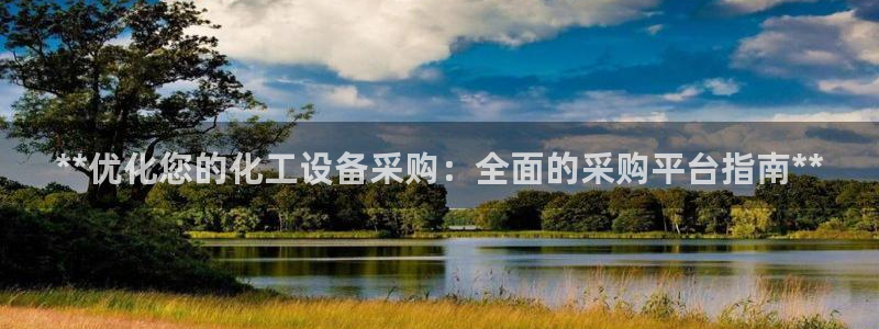 新城平台总代理是谁