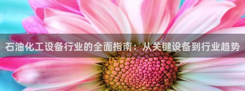 新城平台登录密码忘了怎么办