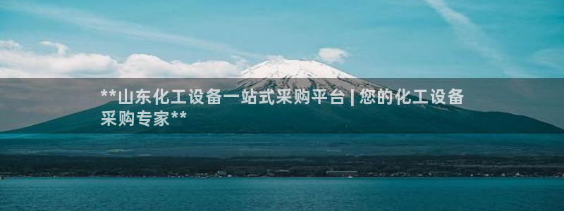 新城平台招商