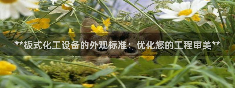 新城平台登录入口官网首页查询