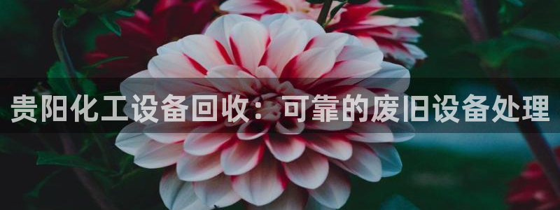新城平台代理