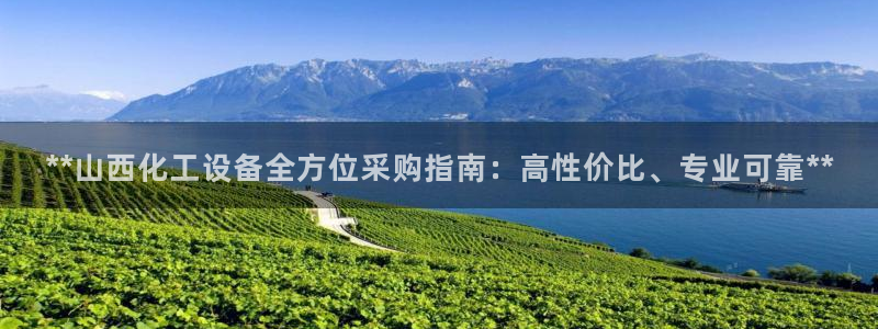 新城平台登录入口官网查询信息