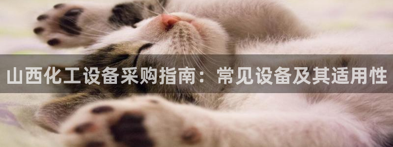 新城平台登录入口官网网址是多少