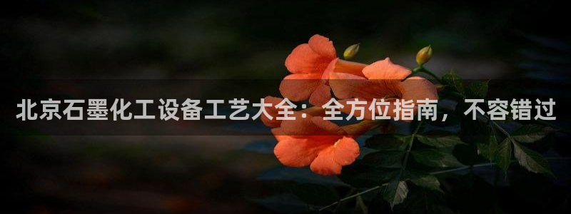 新城平台线路登录不上去