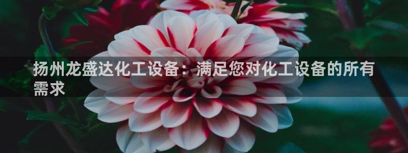 新城平台将7O777