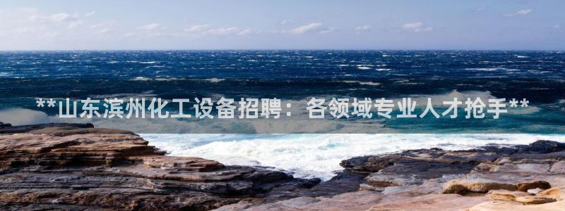 新城平台属于哪个系列