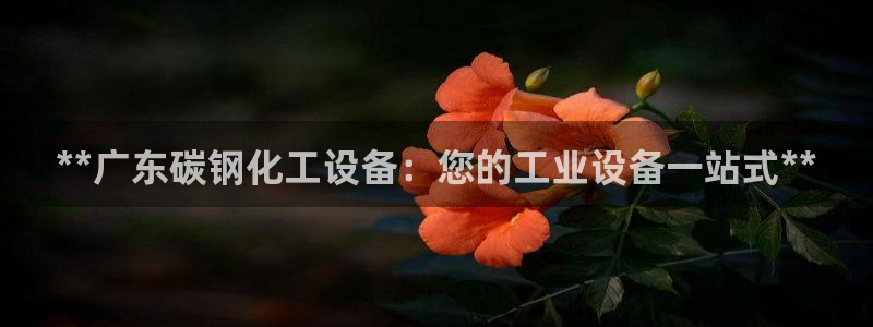 新城平台注册资金多少钱