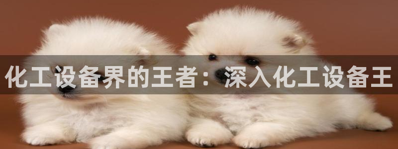 新城平台入.新城平台.全国联网是什么意思