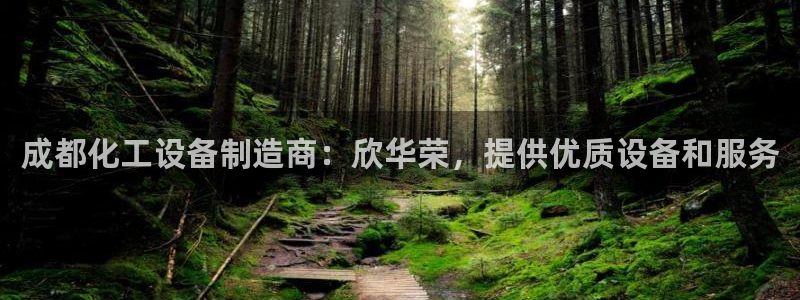 新城平台线路登录不上去怎么回事儿