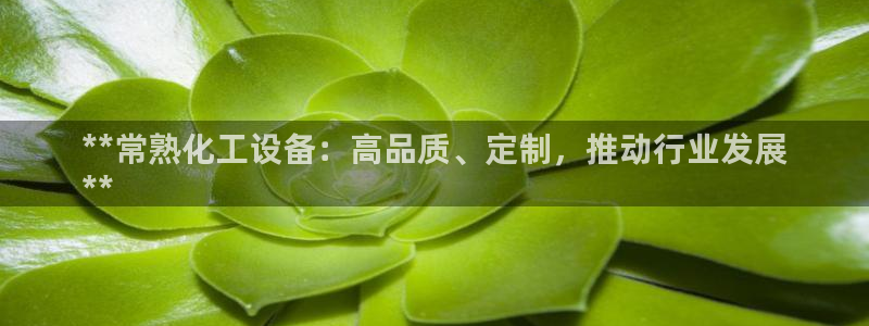 新城平台新注册