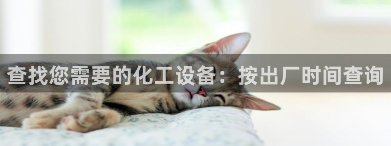 新城平台注册网址