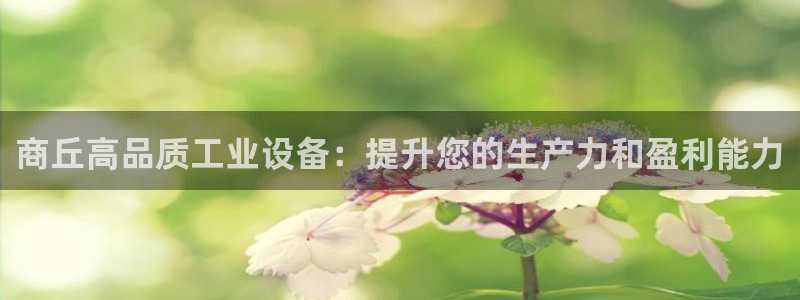 新城平台注册公司流程