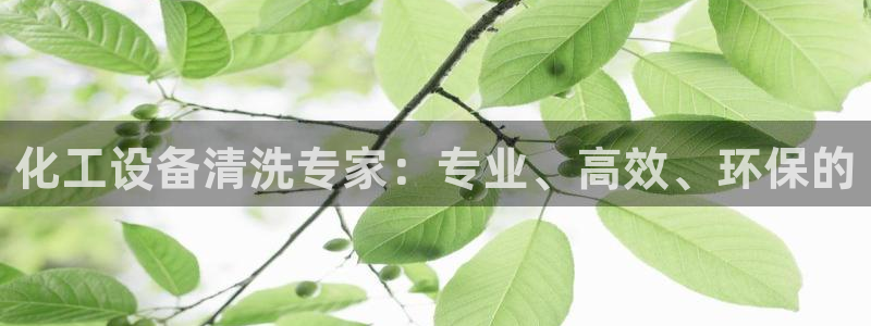 新城平台平台最新活动信息