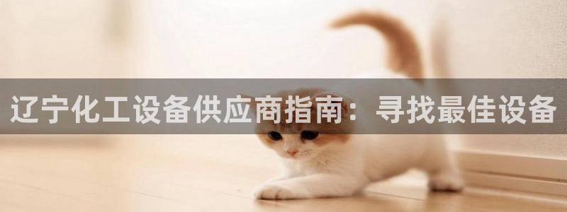 新城平台注册流程图