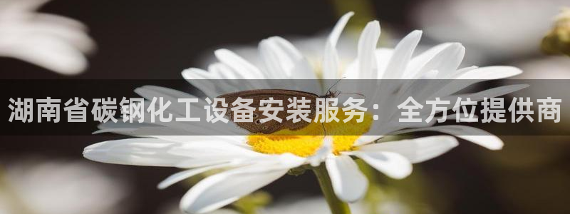 新城平台注册公司流程及费用