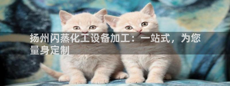 新城平台登录入口官网首页查询