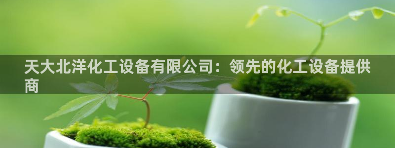 新城平台注册资金多少亿