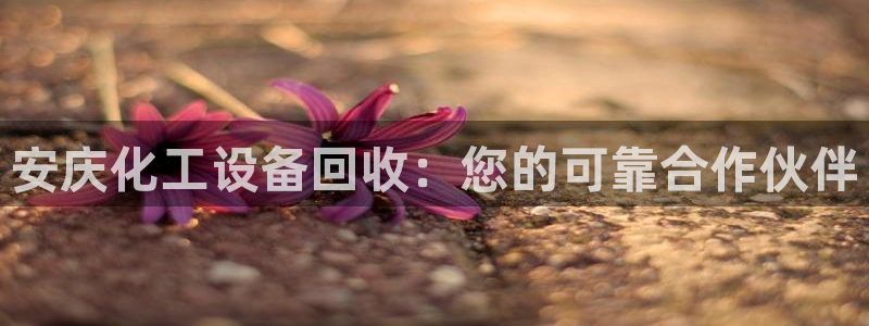 新城平台注册公司流程