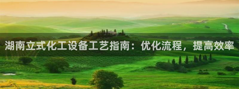 新城平台登录入口官网网址