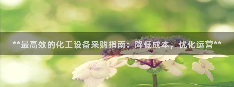 新城平台登录入口官网首页