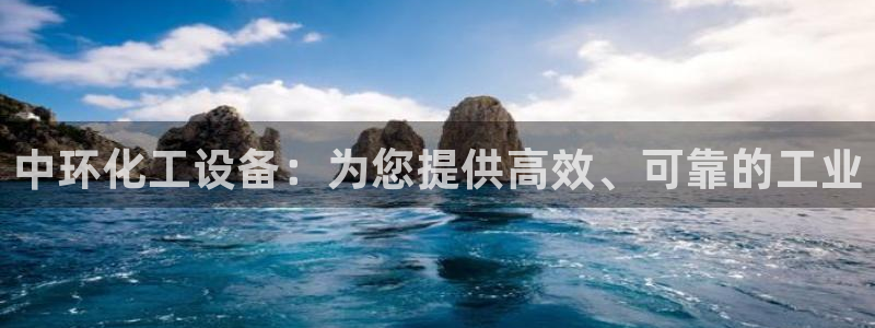 新城平台注册登录地址怎么填