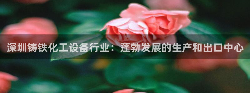 新城平台注册流程及费用