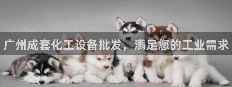 新城平台线路登录不上去怎么回事