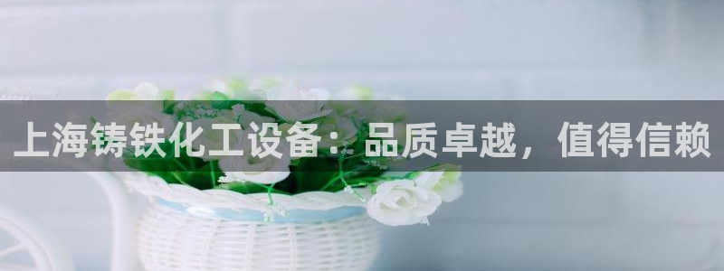 新城平台登录入口官网