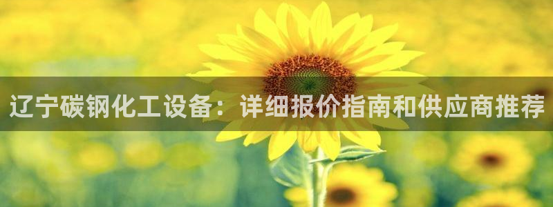 新城平台登录密码忘了怎么办