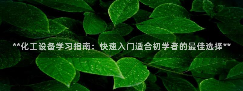 新城平台代理怎么样