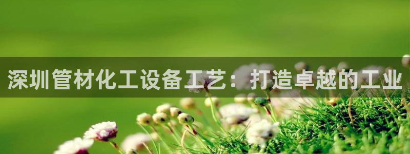 新城平台注册公司流程图