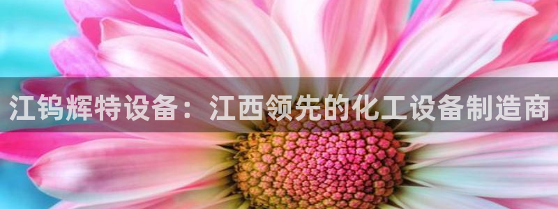 新城平台总代