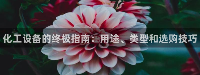 新城平台代理怎么做