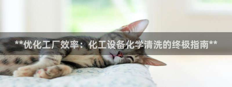 新城平台线路登录不上去怎么回事儿