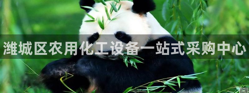 新城平台线路登录不上去怎么回事呀