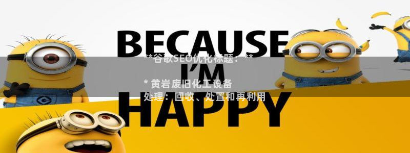 新城平台总代理是谁