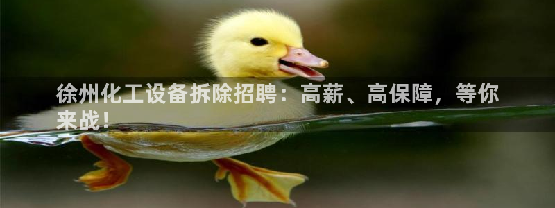 新城平台注册资金多少合适