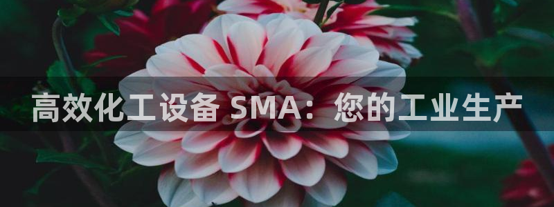 新城平台负责人