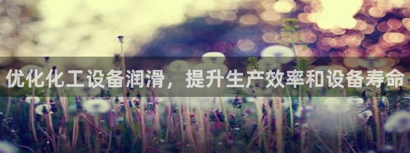 新城平台代理注册