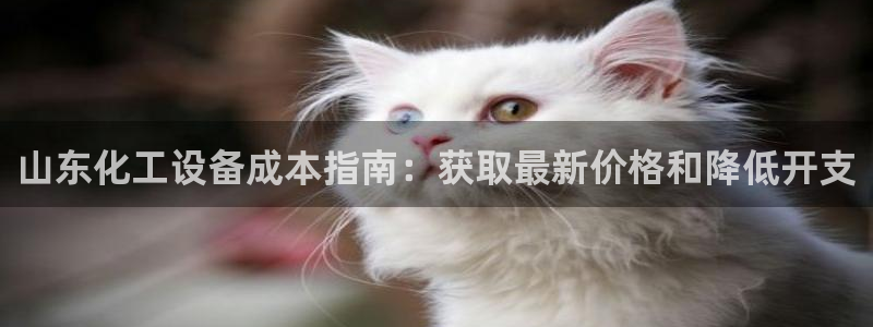 新城平台登录入口官网下载app