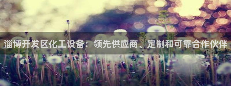新城平台开户：淄博开发区化工设备：领先供应商、定制